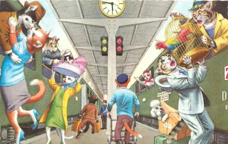 Альфред Майнзер кошки