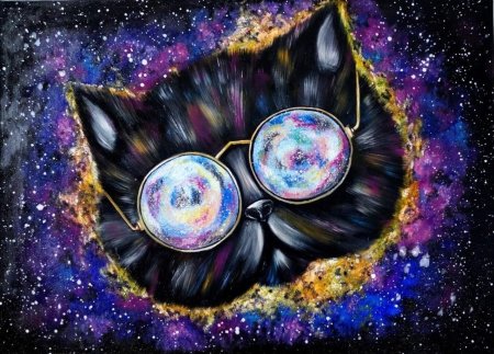 Космический кот