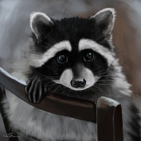 Енот полоскун аватар