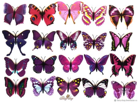 Бабочки для печати