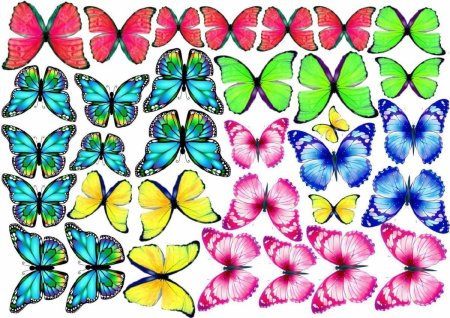 Торт «бабочки»