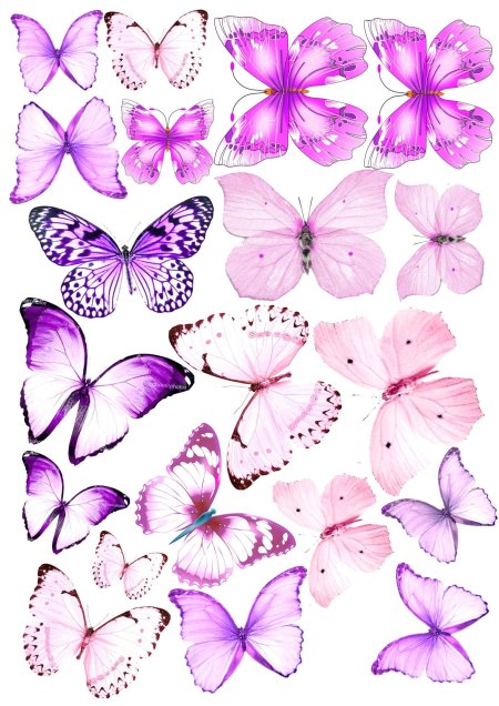 Бабочка рисунок