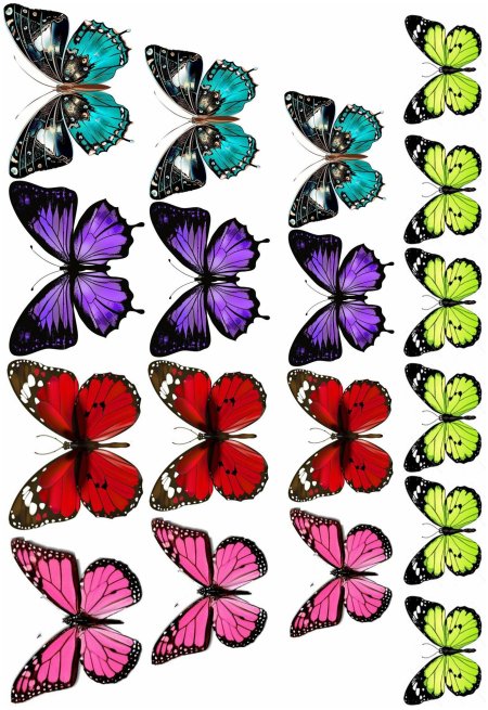 Бабочки цветные