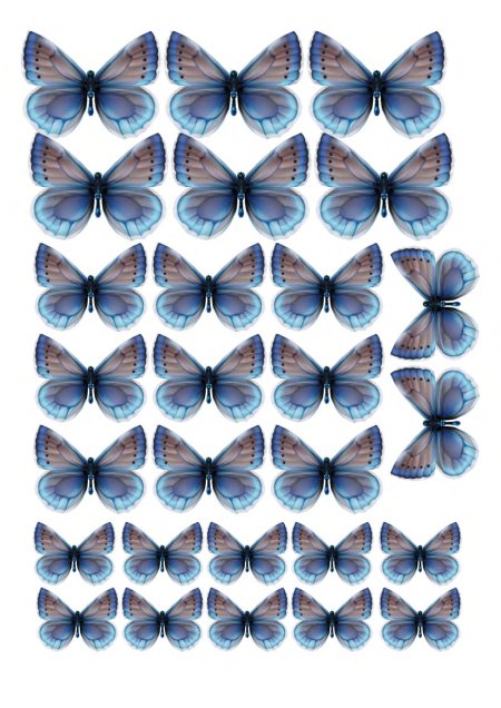 Торт «бабочки»