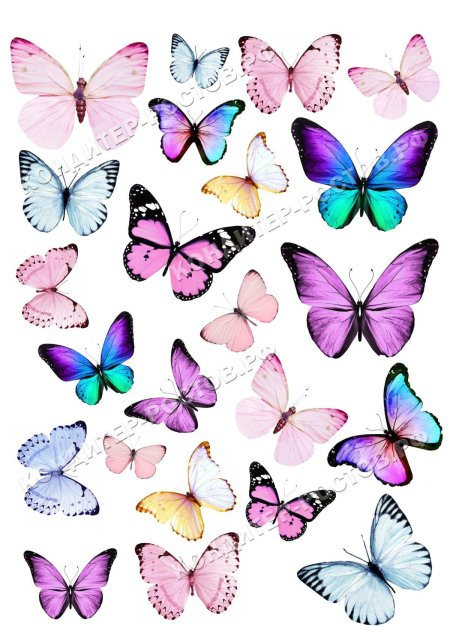 Бабочки на сахарной бумаге