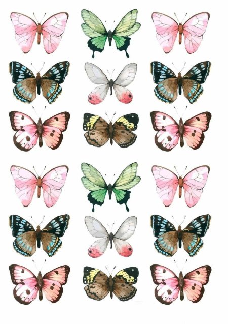 Цветные бабочки для печати