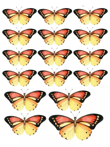 Бабочки сахарная печать