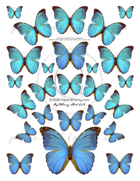 Торт «бабочки»