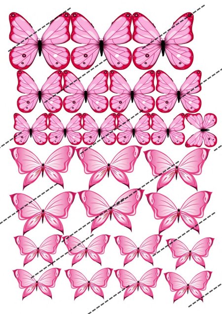 Бабочки розовые