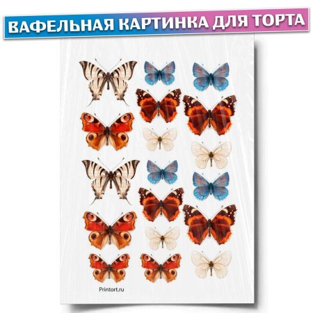 Торт «бабочки»