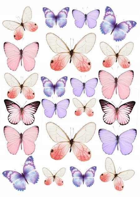 Бабочки фотопечать