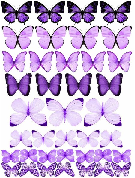 Сиреневые бабочки