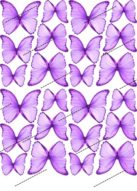 Бабочки розовые