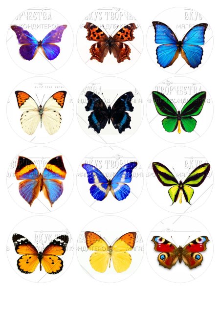 Бабочки сахарная печать