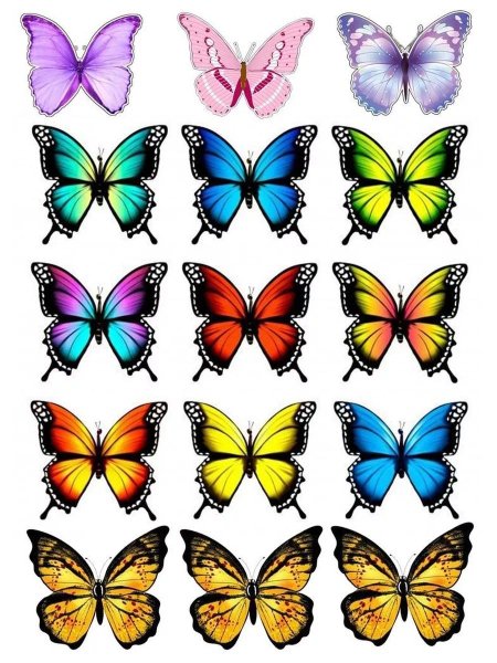 Бабочки цветные