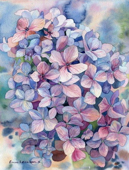 Гортензия акварель