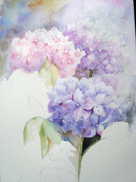 Гортензия акварель