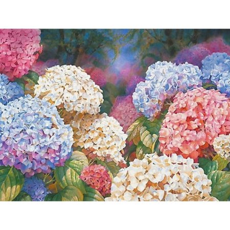 Саммер Лайт гортензия