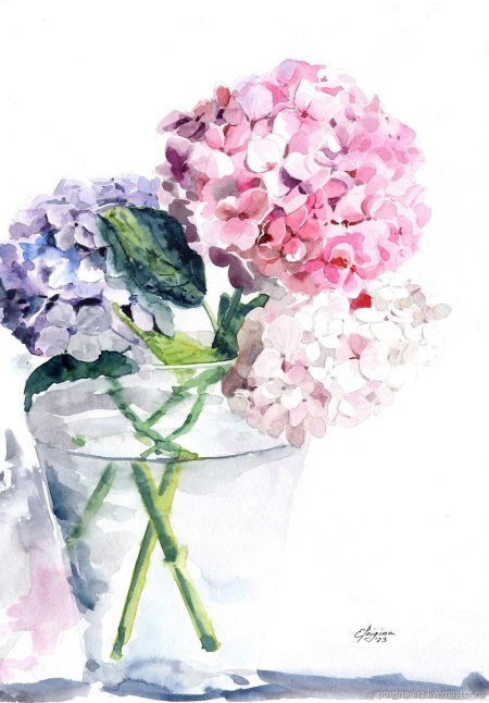 Сирень Андрияки