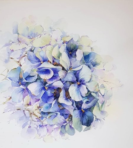 Julia Barminova гортензия