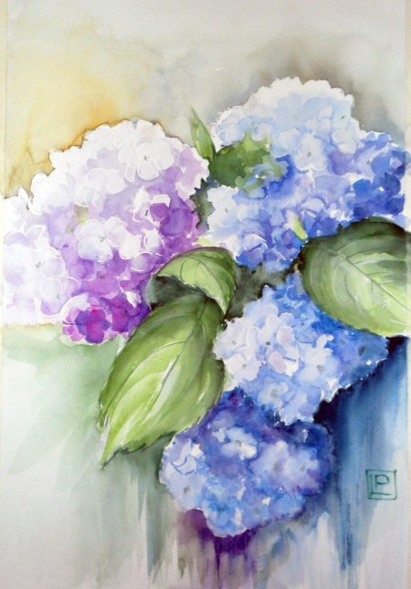 Гортензия акварель