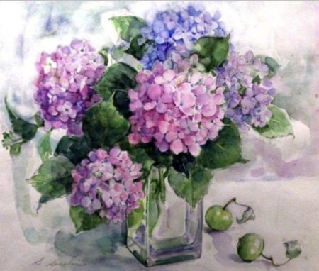 Сергей Андрияка гортензия