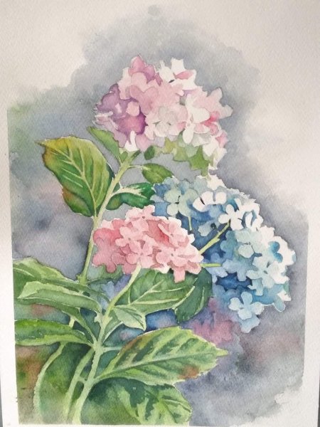 Гортензия живопись