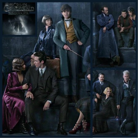 Ньют саламандер