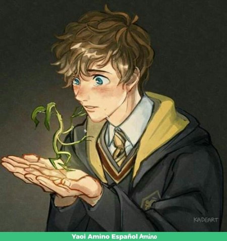 Ньют саламандер аниме