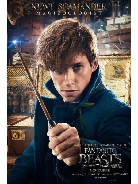 Ньют саламандер