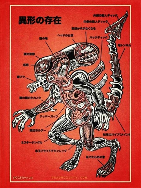 Ксеноморф анатомия