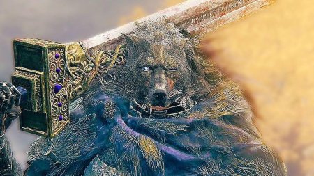 Священное заснеженное поле elden Ring