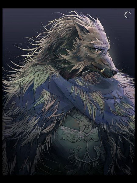 Elden ring блейд полуволк