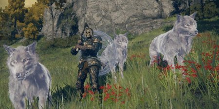 Элден ринг волк