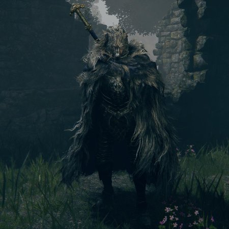 Персонажи elden ring