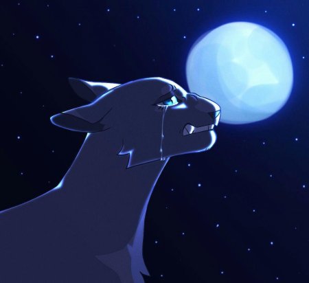 Коты Воители синяя звезда