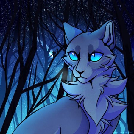 Коты Воители синяя звезда