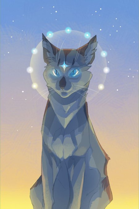 Коты Воители синяя звезда