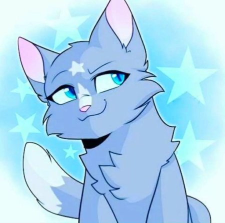 Коты Воители синяя звезда