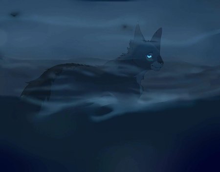 Коты Воители синяя звезда