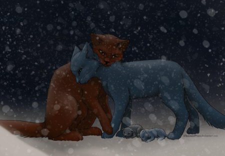 Коты Воители синяя звезда и Желудь