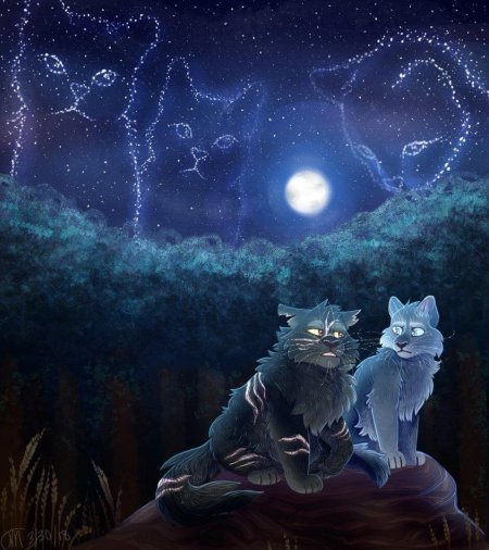 Коты Воители синяя звезда и Щербатая