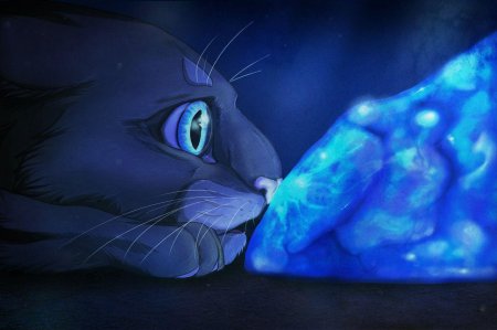 Коты Воители синяя звезда