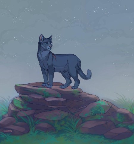 Катываители синия звизда