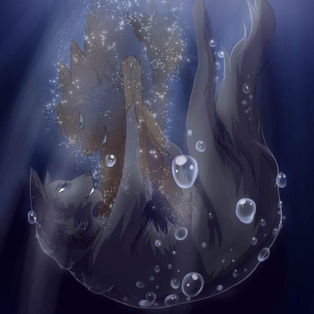 Коты Воители синяя звезда смерть