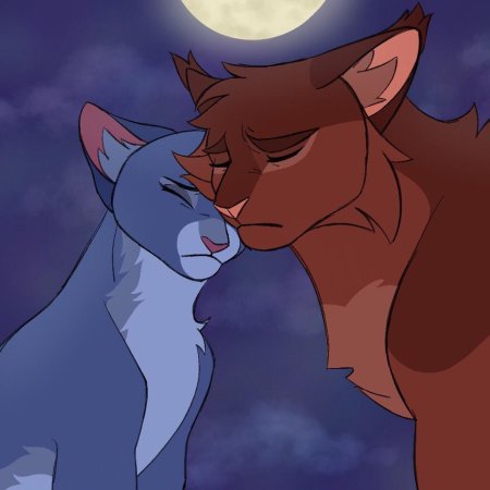 Коты Воители синяя звезда и Желудь