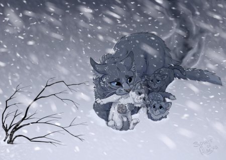 GRAYPILLOW коты Воители синяя звезда