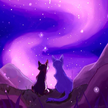 Коты Воители синяя звезда арт