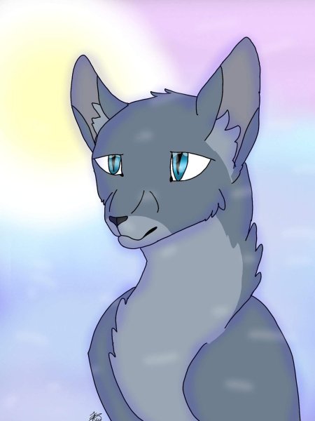 Коты Воители синяя звезда