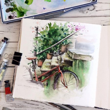 Акварельные иллюстрации